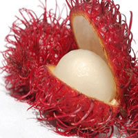 sorbet ramboutan